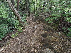岩の多い下り道