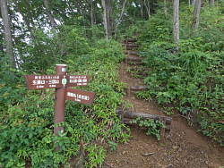 茅丸への登り、右へは巻き道