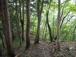連行山からの下り