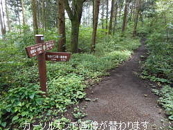 1.醍醐峠 右に下れば和田へ 2.標識拡大