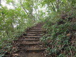 階段状の山道