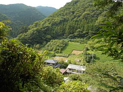 眼下に見え出す民家