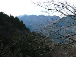 林道から大山方面