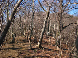 明るい尾根歩き