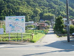 信号を渡った先の道