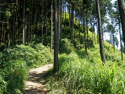 山頂への最後の登り手前