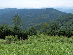 高尾山方面