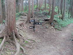 孫山への分岐点