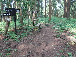 孫山山頂部
