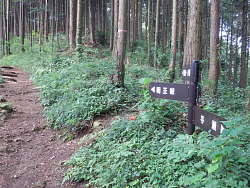 孫山〜下った巻き道合流点