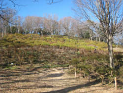 良く管理された公園内