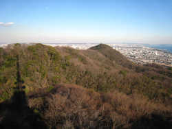 展望台から高麗山方面