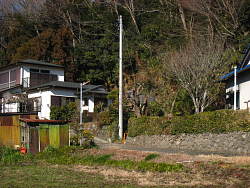中央の電柱横から下りてくる
