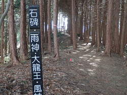 先の明るい場所が山頂