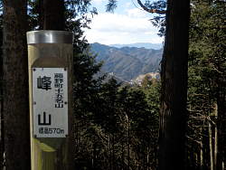 標識と樹間から西が少しだけ