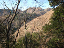 三峰山の山並みか?