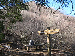 北峰?直下のベンチ