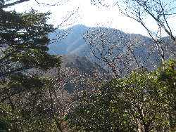 山頂付近から丹沢方面
