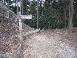 尾根での合流点