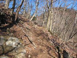 大山との分岐から下った場所を振り返る