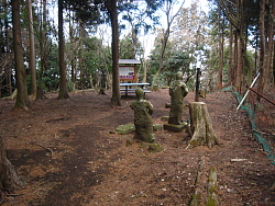 山頂へ着いた場所からの眺め