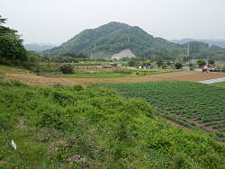 畑地辺りから城山