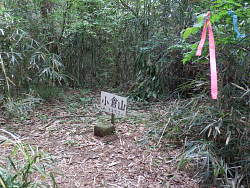 小倉山 山頂
