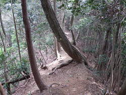 尾根の風景