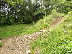 1.林道に下りた場所 2.そこの東電標識11号