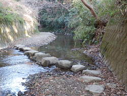 前田川風景