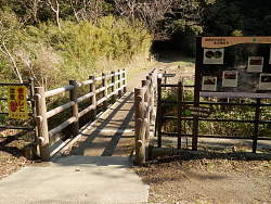 川に架かる橋