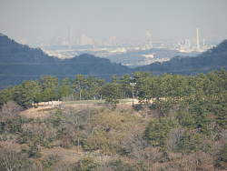 遠くに横浜みなとみらい地区が見える