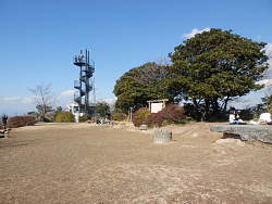 東から眺めた山頂風景