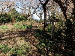 山頂風景