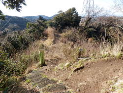 山頂下の分岐