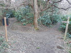 左へ二子山の分岐