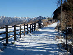 山頂手前の風景