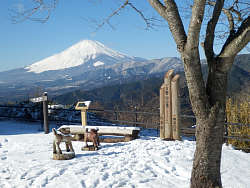 山頂標識と富士