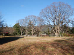 河村城址の主要部