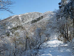 大山方面の眺め
