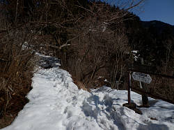 峠手前の道