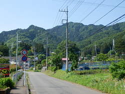 途中から