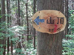 円形の変わった標識(山頂直前のピーク)