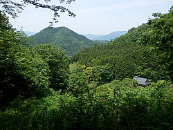 林から出ると民家が見え出す