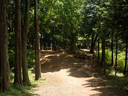 三角点側から山頂を見る