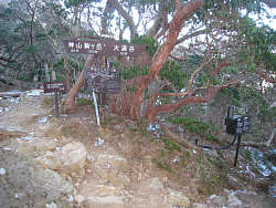 大涌谷分岐