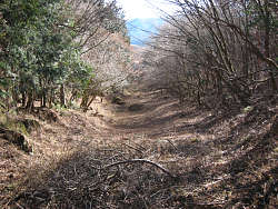 鞍部右手の谷筋