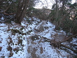 岩の多い凍った道