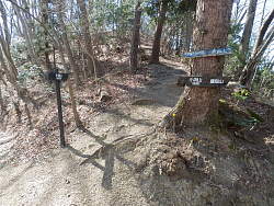 小渕山の巻き道