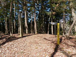 小渕山山頂風景